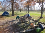 Camp in the morning - Reelfoot Lake, TN