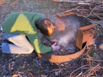 Tim lighting a fire without matches - only using a flint