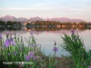 Spenard Lake / Lake Hood at 11:15 PM