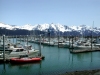 Seward Marina